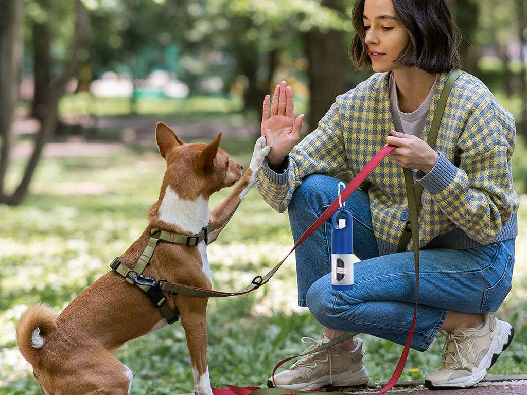 Dispensador para bolsas de mascotas con gel hidroalcohólico y mosquetón