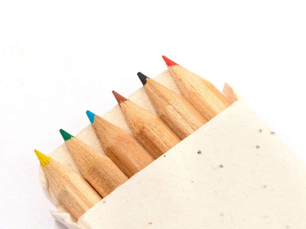 Set de 6 lápices de madera con semillas plantables - Delar