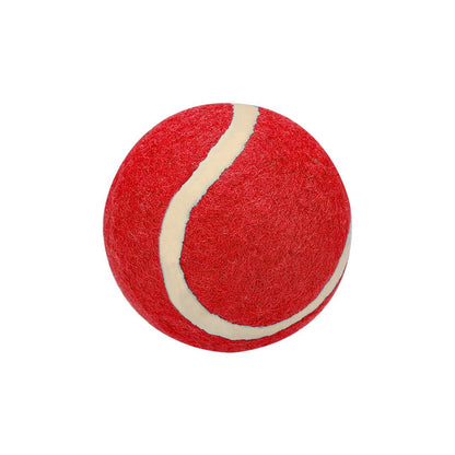 Pelota para mascotas en goma resistente y material suave