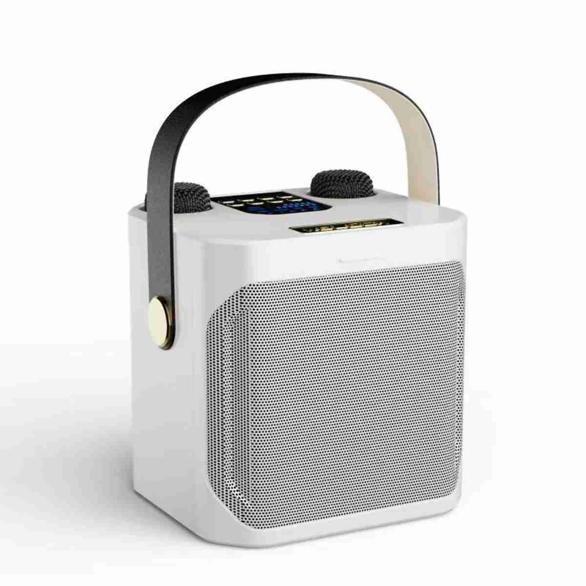 Altavoz Subwoofer Karaoke Almalux® con doble micrófono -  Bluetooth -  100W -  Cambiador de Voz