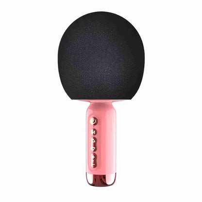 Micrófono Karaoke Almalux® con Cambiador de voz